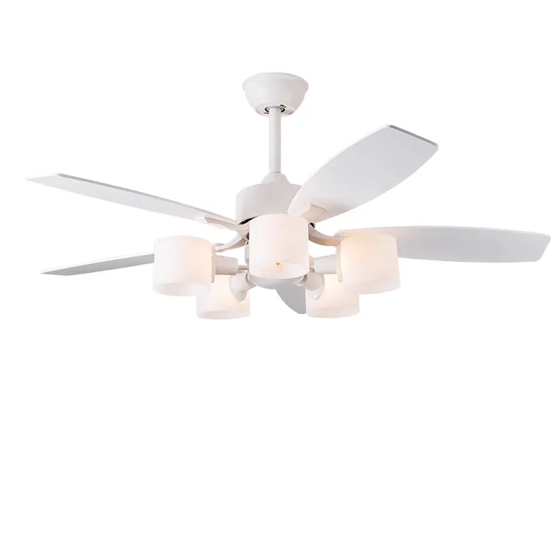 Augsburg | Lighted Ceiling Fan