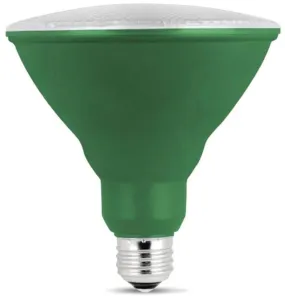 Bulb Led Green Par38 Reflector