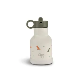 Citron Stainless Steel Insulated Water Bottle - Dino