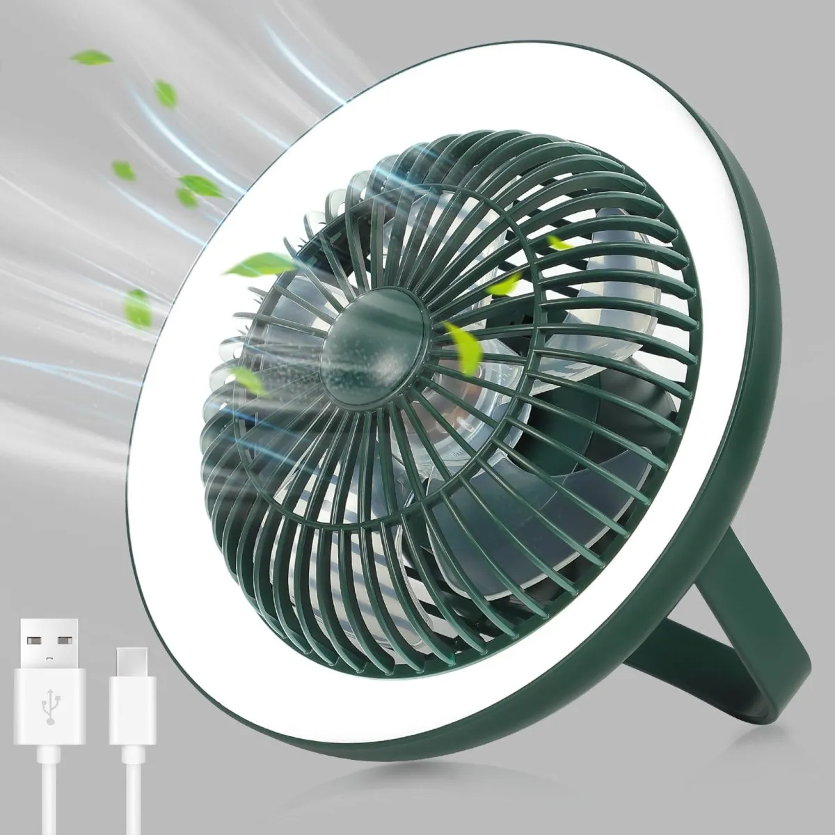 Depuley Rechargeable USB Desk Fan 4000mAH, Portable Fan with LED Light, 8" Tabletop Air Circulator Fan with 3 Speeds, Personal Desk Fan with Hanging Hook for Tent, Office