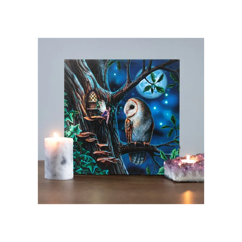 Fairy Tales Light Up Canvas Plaque by Lisa Parker – Magical Home Decor