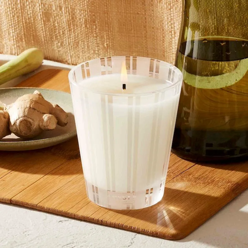 Lemongrass & Ginger Classic Candle by Nest