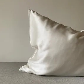 Mulberry Silk Pillow Case