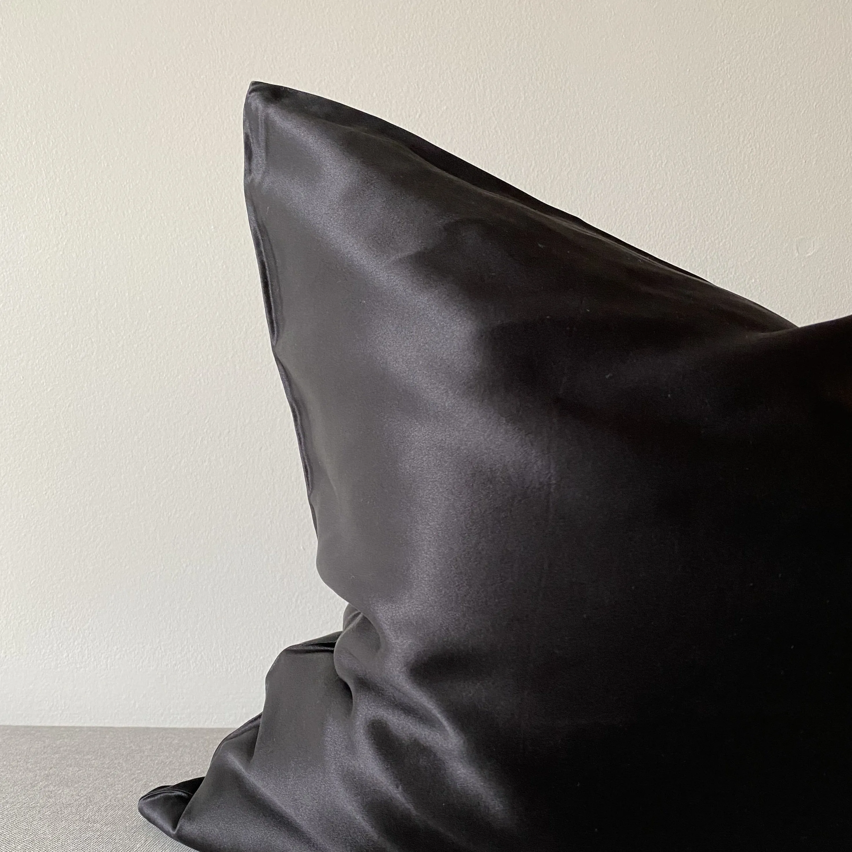 Mulberry Silk Pillow Case