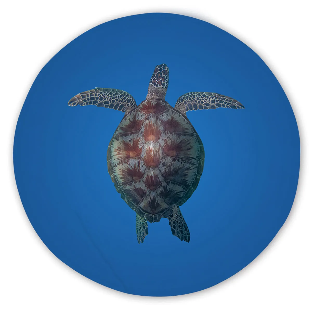 Turtle Round Beach Towel