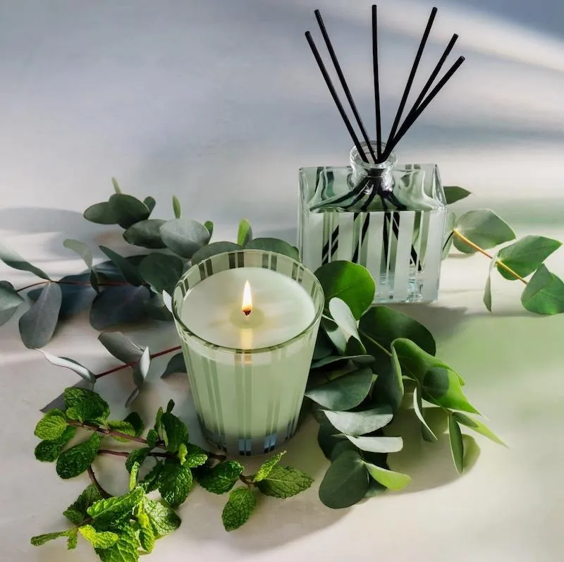 Wild Mint & Eucalyptus Classic Candle by Nest